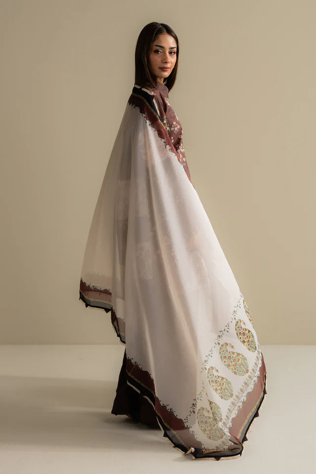 Mevi-5B COCO (prints) by Zara Shahjahan Vol-698