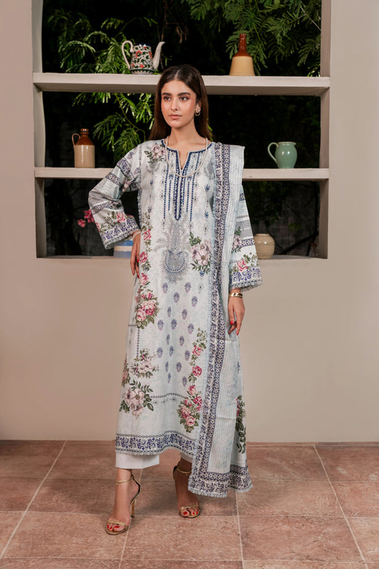 2Pc Firdous Kameez & Dupatta Suit - D747