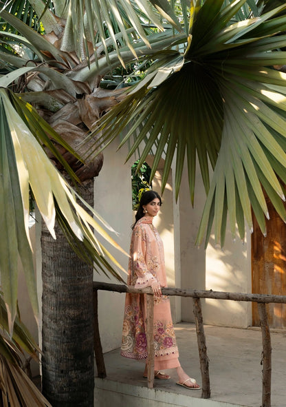 Firdous Kameez & Trouser - D141