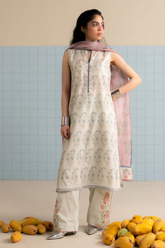 Tinsa-3B COCO (prints) by Zara Shahjahan Vol-698