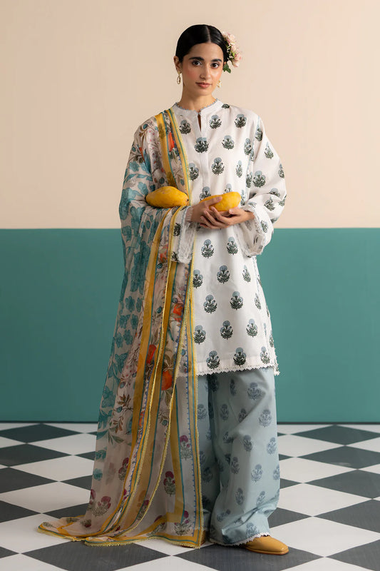 Zofi-4B  COCO (prints) by Zara Shahjahan Vol-698