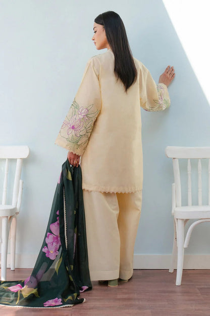 3Piece Embroidered Ricamo Dress