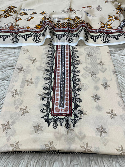 2Pc Bin Noor Fab Lawn Kameez & Dupatta Vol-70