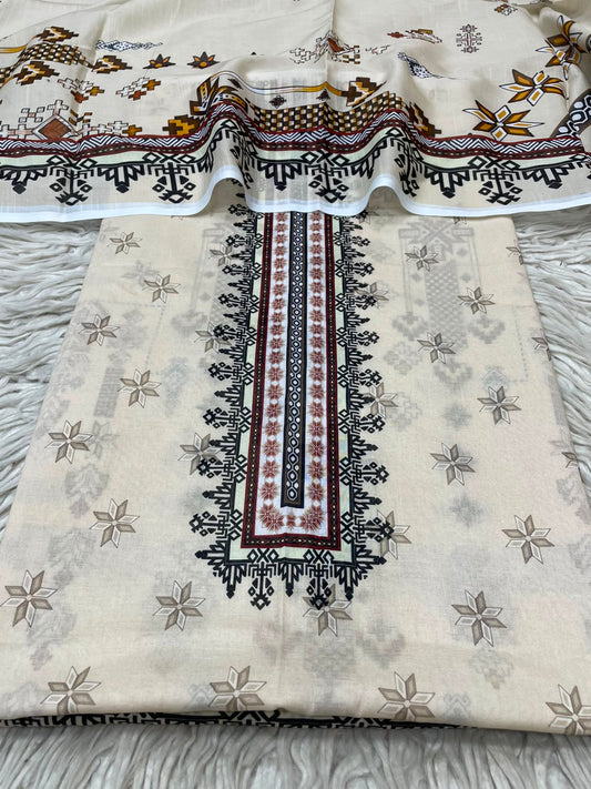 2Pc Bin Noor Fab Lawn Kameez & Dupatta 70