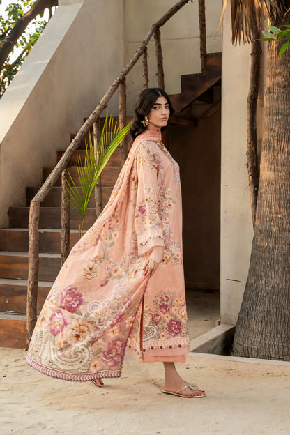 Firdous Kameez & Trouser - D141