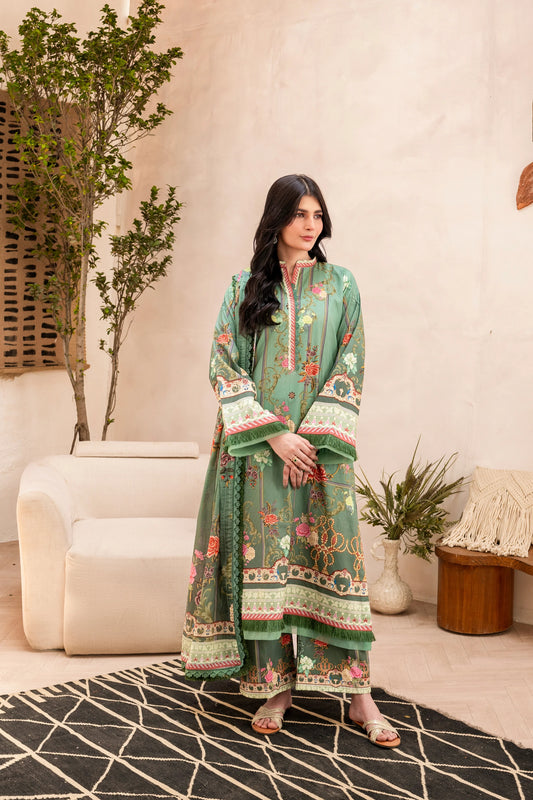 Firdous Kameez & Trouser - D134