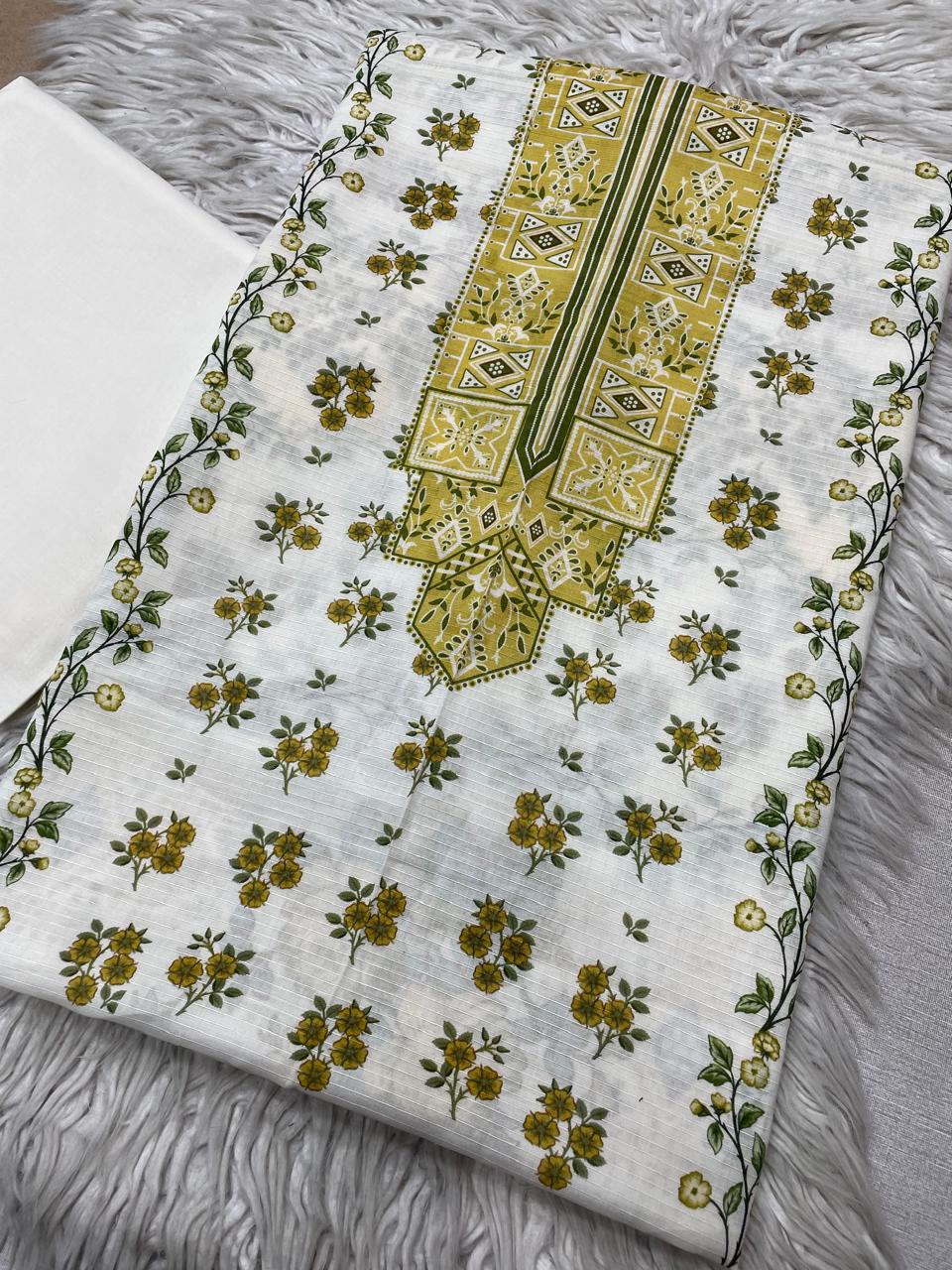 2pc Bin Noor Fab Lawn Bana Dora Kameez & Dyed Trouser Suit Vol-45