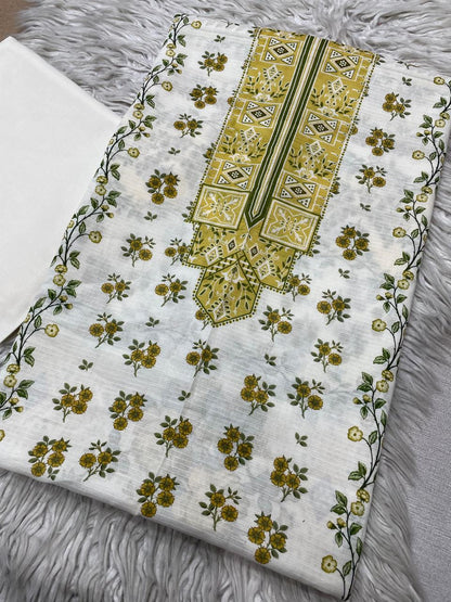 2pc Bin Noor Fab Lawn Bana Dora Kameez & Dyed Trouser Suit Vol-45