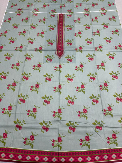 Firdous Kameez & Trouser - D831
