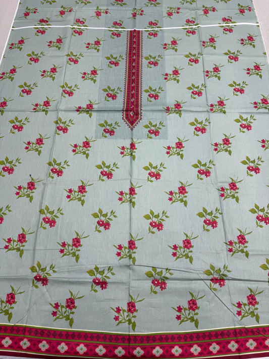 Firdous Kameez & Trouser - D831