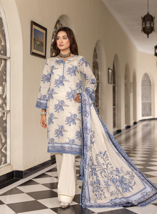 Noura 2Pc Kameez & Trouser - D108