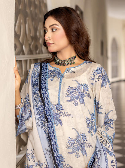 Noura 2Pc Kameez & Trouser - D108